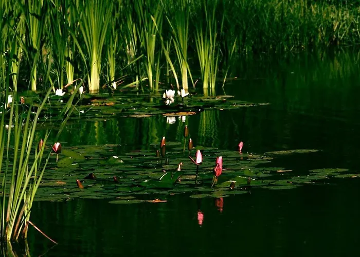 éden Park Vízvár Nyaraló